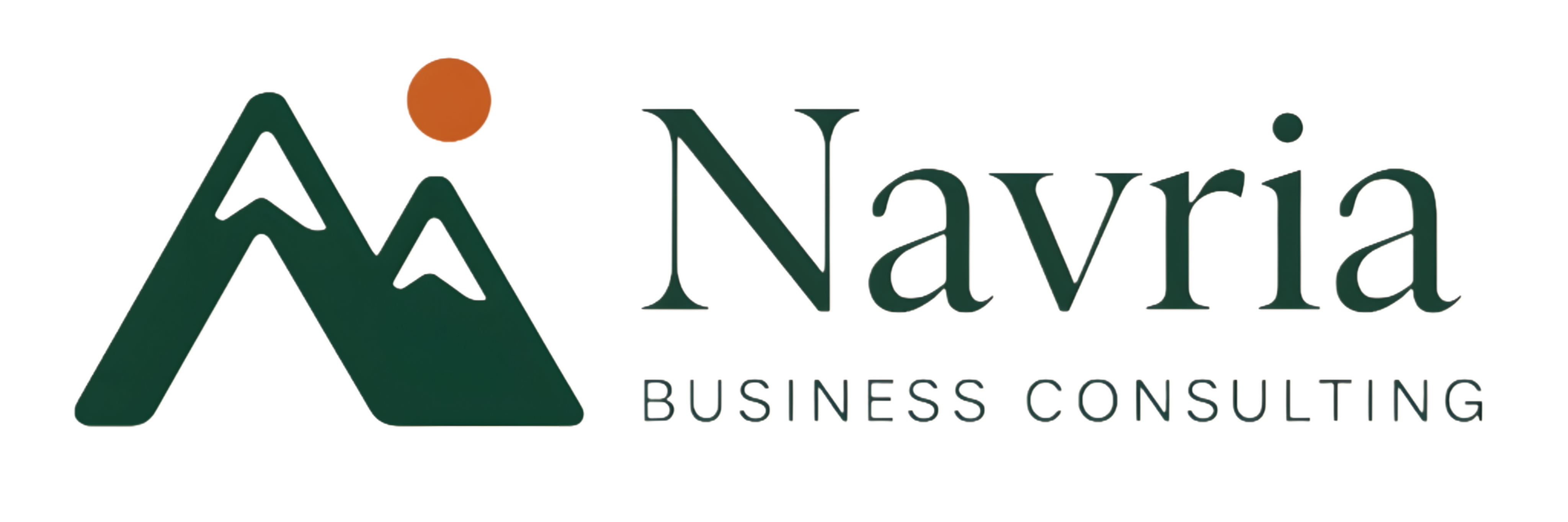 Navria Consulting - AutomatizaciИn Inteligente e IA